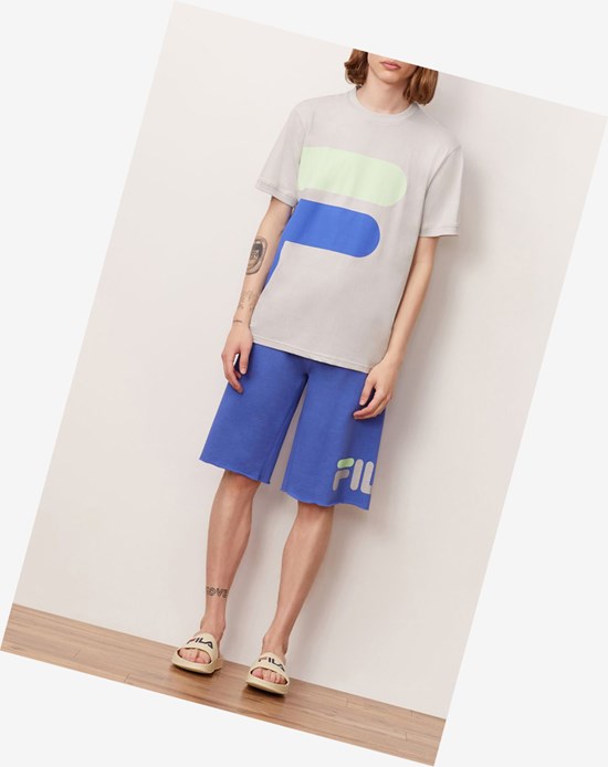 Fila Alvan Tee Qgry/Ampb/Pgrn | QYL-719083