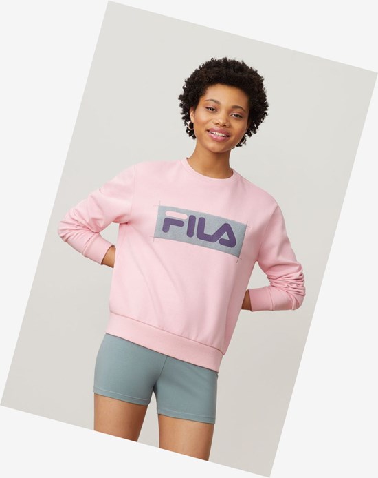 Fila Evelyn Sweatshirt Cpnk/Lead/Ggrp | JUK-428391